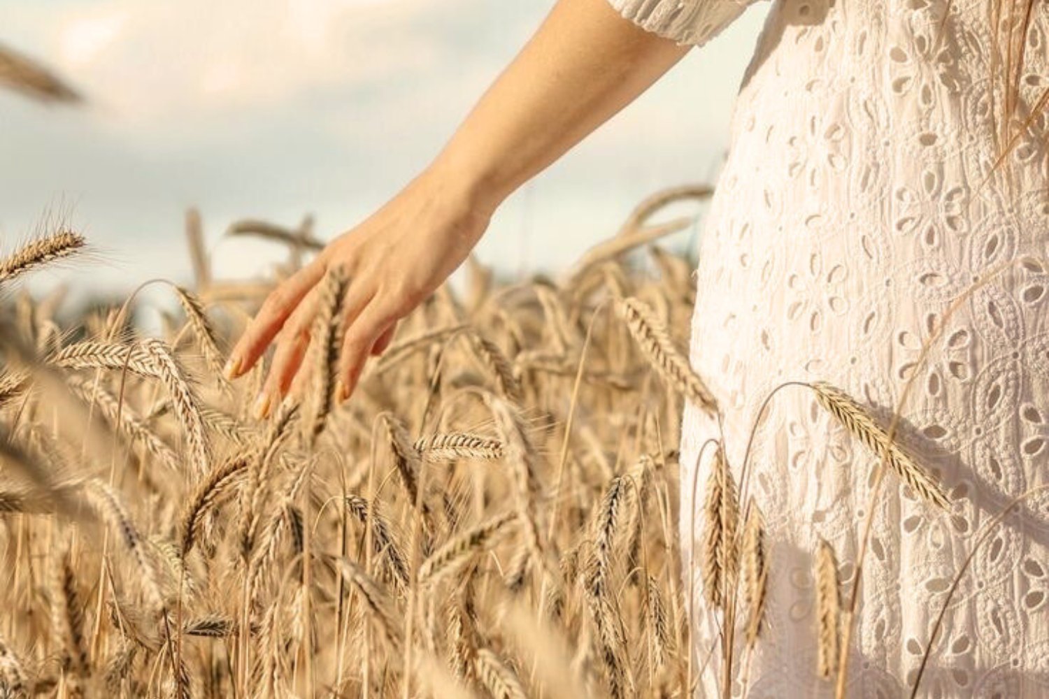 קולקציית חגים