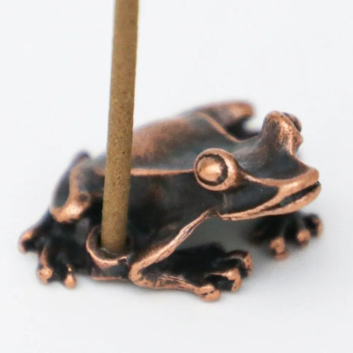 צפרדע מדיטטיבית